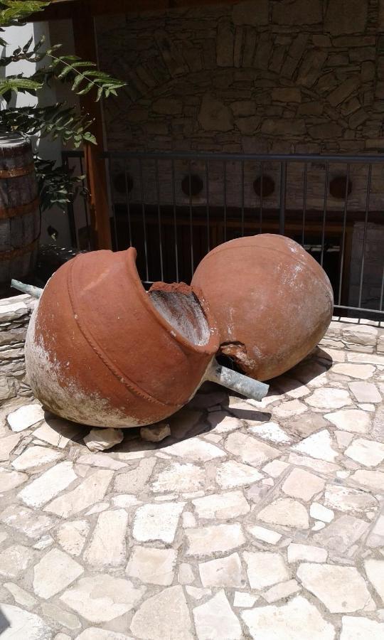 Christiana's Stone Апартаменти Пано-Лефкара
